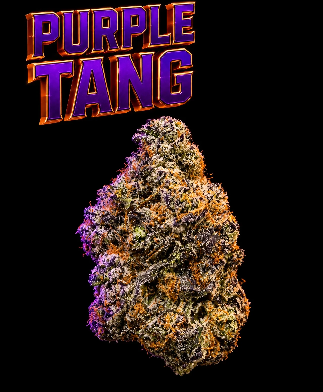 Purple Tang